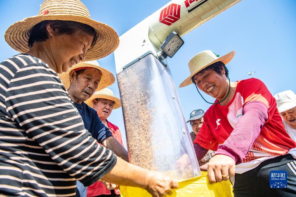 火凤游戏平台
